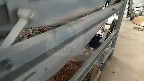 video of  walnut processing line