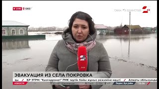 Река Есиль вышла из берегов и подтопила десятки домов в СКО