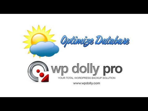 WP Dolly Pro WordPress Database Optimization