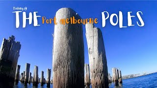 Port Melbourne pinkies after work. fishing melbournes poles. screenshot 5