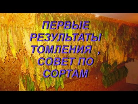 ДНЕВНИК ТАБАКОВОДА № 30 ( 12.07, РЕЗУЛЬТАТЫ ТОМЛЕНИЯ ПЕРВЫХ ЛОМОК ) ТАБАК