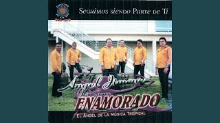 Video thumbnail of "Grupo Enamorado De Angel Jimenez - viejo panzon"