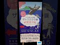 美ら海クラフト「大きさくらべぬりえ」
