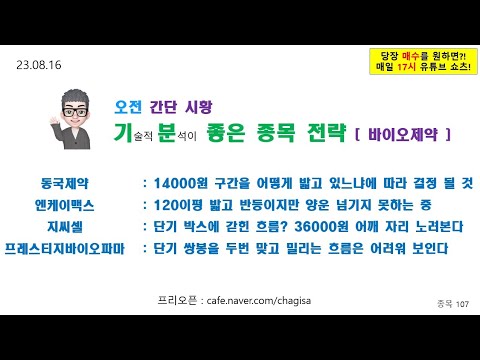 [오전시황 및 종목전략] <strong>동국제약</strong> 엔케이맥스 지씨셀 프레스티지바이오파마 바이오 제약 <strong>주가</strong> 매매 전략 230816
