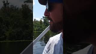 on the pontoon boat in Dunn's Creek amazing plants and wildlife here in the great state #Florida