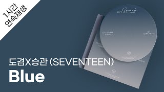 도겸X승관 (SEVENTEEN) - Blue 1시간 연속 재생 / 가사 / Lyrics