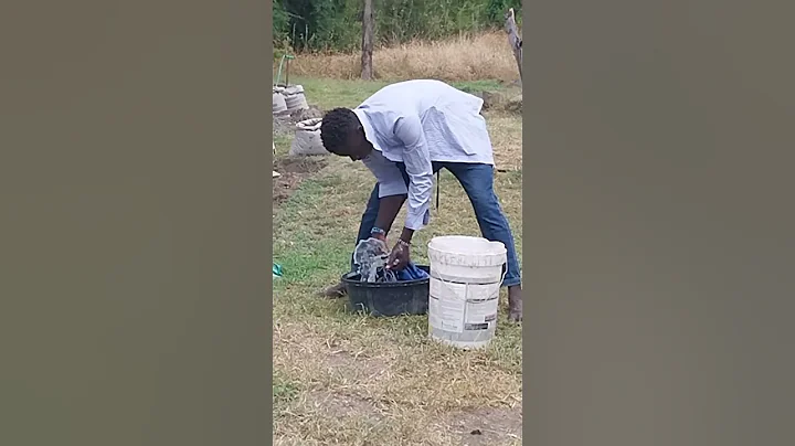 AFRICAN VILLAGE BOY/ WASHING CLOTHES