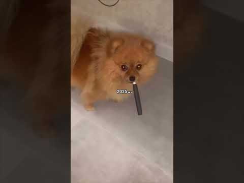 How Was 2025 For You 