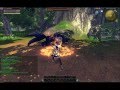 Raiderz  sorcerer vs epic fleetfoot