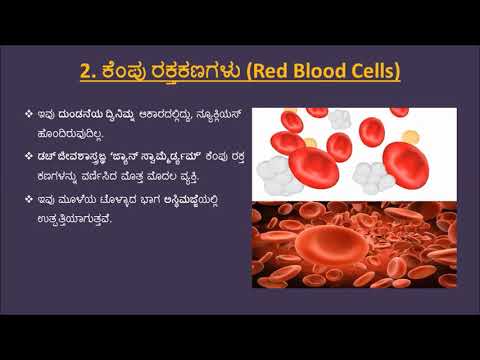 ರಕ್ತ & ಅದರ ಘಟಕಗಳ ಕಾರ್ಯ-Blood and its  parts