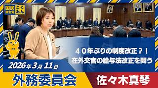 【佐々木真琴】外交官の給与制度40年ぶり改正？！名称位置給与法改正｜2026年3月11日 衆議院外務委員会【ノーカット】