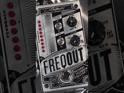 Digitech’s Unsung Hero: