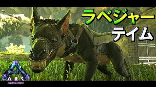 Ps4 原油ポンプを設置してみる のんびりアーク恐竜生活シーズン２ Ark Survival Evolved ゲーム実況やまだま