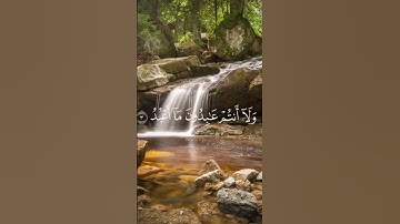 قران كريم بصوت جميل سورة الكافرون للشيخ ماهر المعيقلي #القرآن #اكسبلور