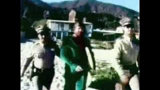 John Belushi & Dan Aykroyd take Brian Wilson Surfing 1976