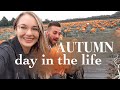 COSY AUTUMN DAY IN THE LIFE 🍁 | pumpkin picking, decorating the house for fall