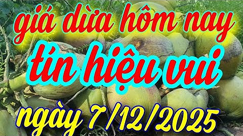 giá dừa hôm nay ngày 7/12/2025