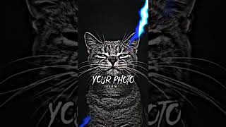 Preset Dj Ta Coba Setia For Ngana Tapi Ngana Tebar Pesonaby Rky Utama Rmx 