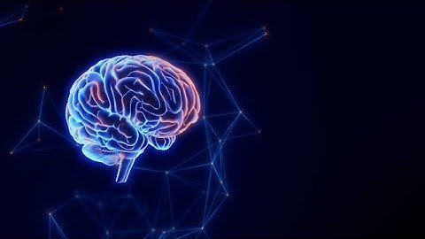 Rotating Digital Brain with Glowing Neural Connections stock footage | stock video | Cinefootage