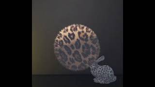 Shell Texturing: Bouncy Fur Ball (Unity URP)
