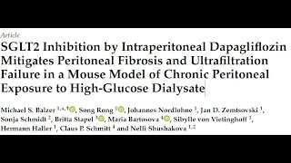 Nov 2022 - SGLT2 Inhibition by Dapagliflozin Mitigates Peritoneal Fibrosis & Ultrafiltration Failure