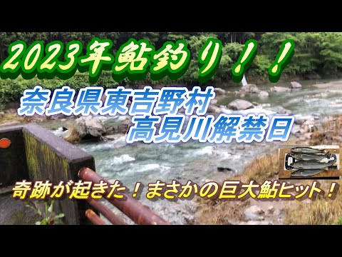 【高見川鮎釣り解禁日】2023年6月11日雨の日の解禁日の情報＃鮎釣り＃高見川＃解禁日