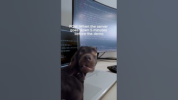 POV: When the Server Crashes 5 Minutes Before the Demo 💻🔥