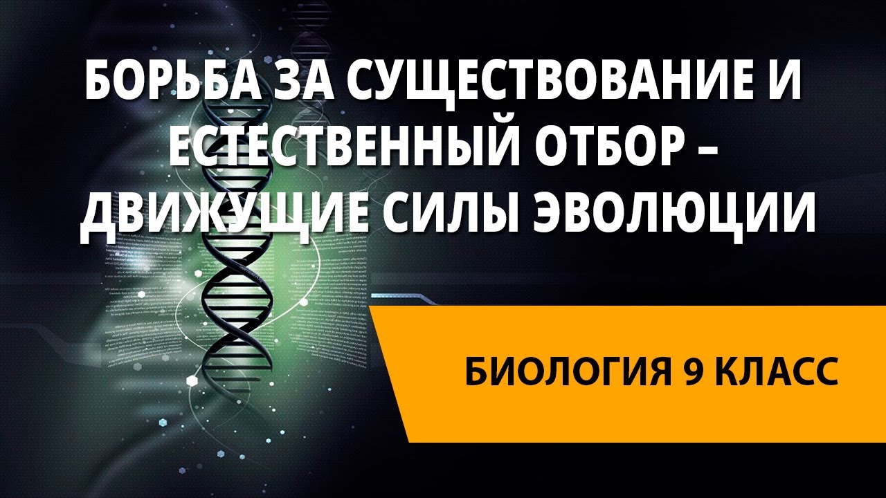 Борьба за существование и естественный отбор – движущие силы эволюции ...