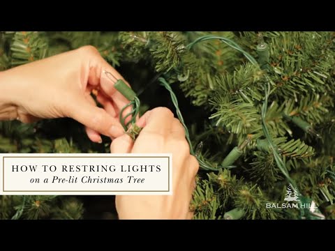 Vidéo: Comment tamiser un sapin de Noël pré-éclairé ?