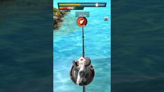 Fishing Rivals : Hook & Catch - Android gameplay PlayRawNow