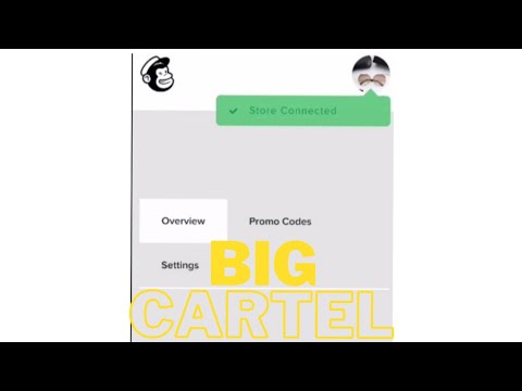 How to connect mailchimp to bigcartel store successfully? Easy & quick steps 1 3