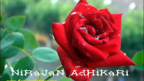 marubhumima pani  ma ta pagal