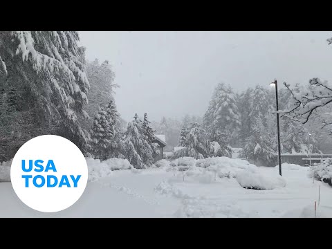 Nor'easter blows through New York leaving thousands without power | USA TODAY