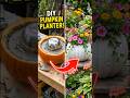 🎃🪴 DIY Pumpkin Cement Planter 🌸| | Amazing Garden Pot  #shorts #diy #aishorts #tips #garden