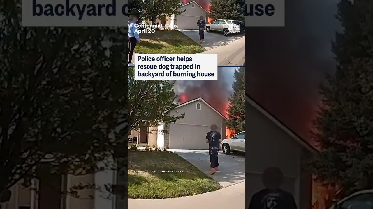 Police officer helps rescue dog trapped in backyard of burning house