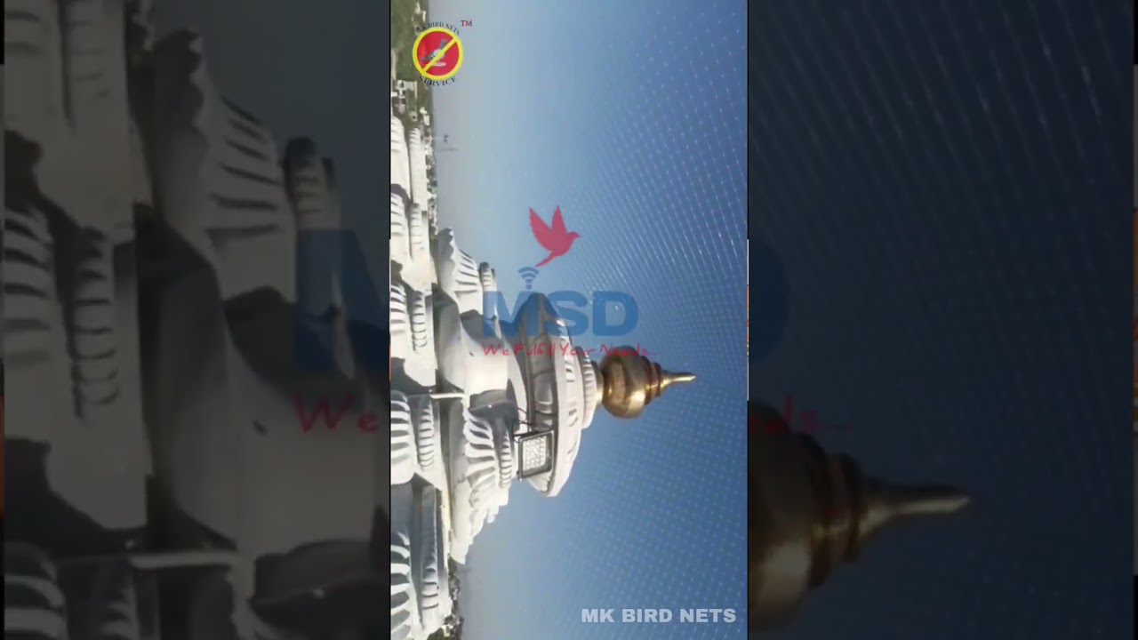 Bird netting services 