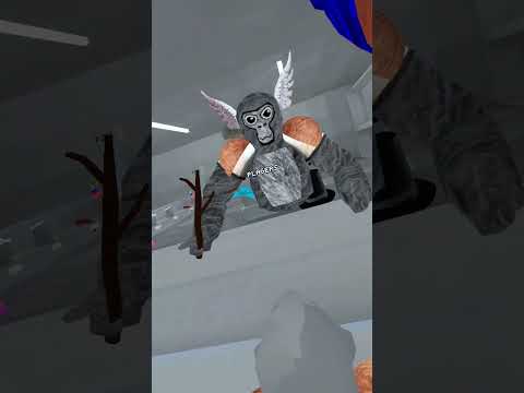 Reasons why you should get my game: Phanantom Taggers  #gorillatag #gtag #gorillatagmods