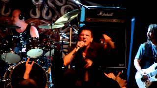 Steelheartblack Dog  At Nasaiceland 8 June 2011