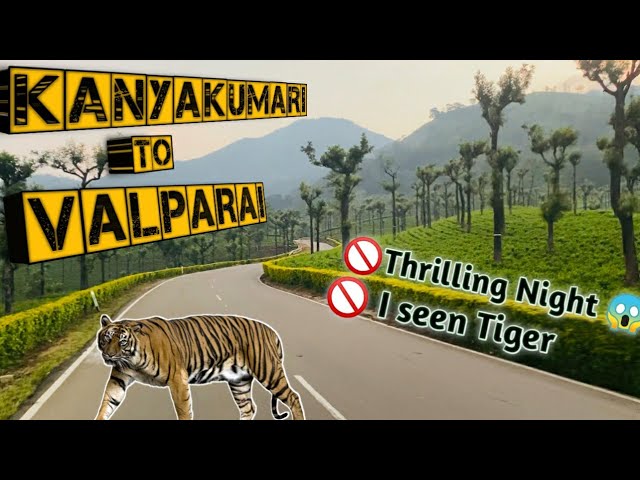 I Seen A Tiger In Valparai | Lacsar Creation - YouTube