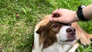 Outdoors ASMR! Tapping, Scratching 🐕 | NightNight Tingles ASMR