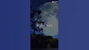 سورة الإنسان #تلاوة_القرآن #تلاوة_خاشعة #اكسبلور #ترند #تيك_توك #ترند_تيك_توك #اكسب #اكسبلورexplore