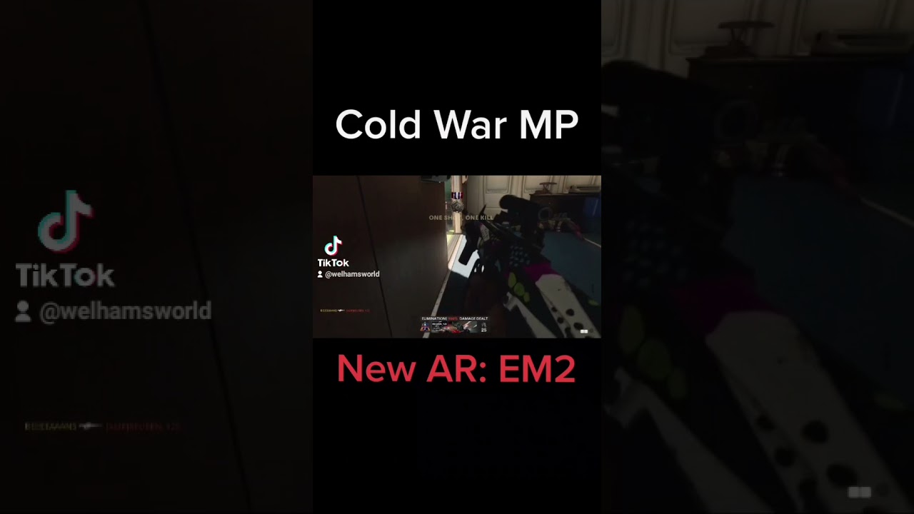 New AR in cold war, EM2. What do you think of the iron sights? 