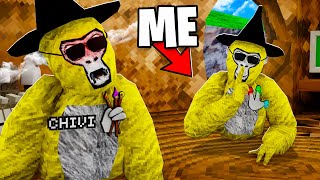 Chivi Trolling In GorillaTag!