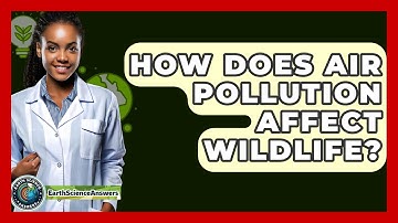 How Does Air Pollution Affect Wildlife? - Earth Science Answers