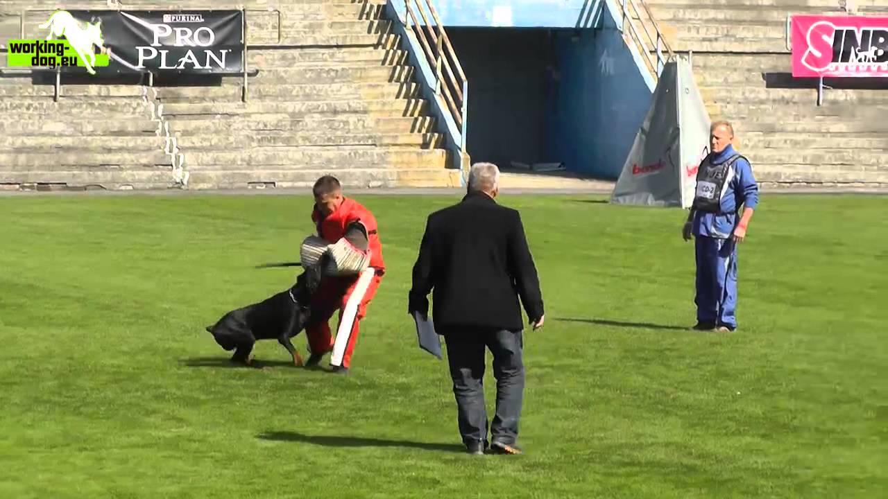 Trailer FCI World Championship 2012