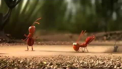Unity  of ants
