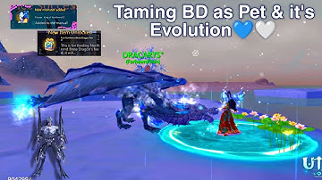 Taming BD as Pet & it