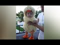 Unexpected WORDS said by KIDS and BABIES - Can&#39;t stop LAUGHING!