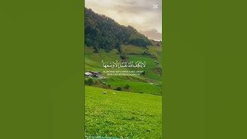 اخر آيتين من سورة البقرة ❤️‍🩹| يمكنك اكمالها للنهاية 😌|  اكتب شيئ تؤجر عليه ☺️ #القرآن_الكريم