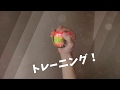 【PowerBall】おもちゃ？え？トレーニング器具なのこれ？